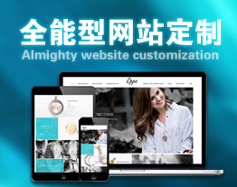 自贡的套餐-全能型网站定制