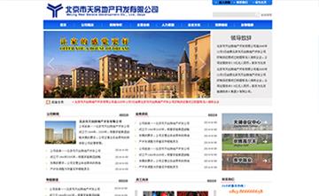 自贡黑羽网络网页制作案例-北京市天创房地产开发有限公司