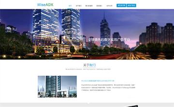 自贡黑羽网络网页制作案例-上海WiseADX