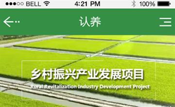 自贡黑羽网络网页制作案例-上海认养农产品小程序