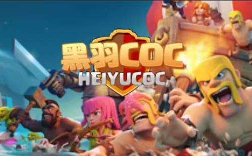 黑羽网络案例黑羽COC