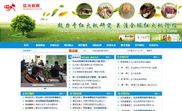 自贡黑羽网络网页制作案例-广东广州瑞丰生物科技有限公司