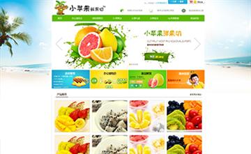 自贡黑羽网络网页制作案例-上海小苹果鲜果切
