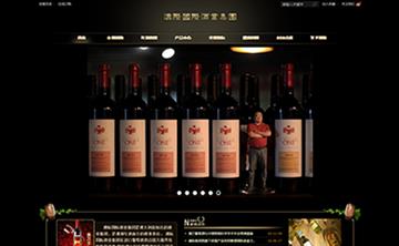 自贡黑羽网络网页制作案例-深圳 澳际国际酒业集团