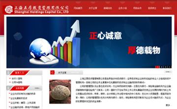 自贡黑羽网络网页制作案例-上海正厚投资管理有限公司