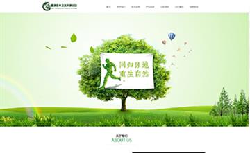 自贡黑羽网络网页制作案例- 亚洲环保科技网站