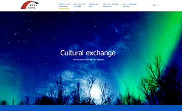 自贡黑羽网络网页制作案例-北欧教育文化交流中心